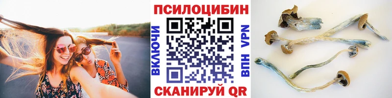 Галлюциногенные грибы GOLDEN TEACHER  площадка наркотические препараты  Нязепетровск 