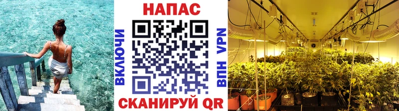 Марихуана сатива Нязепетровск